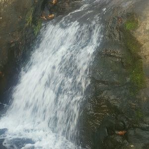 Meet your Posher, Jae